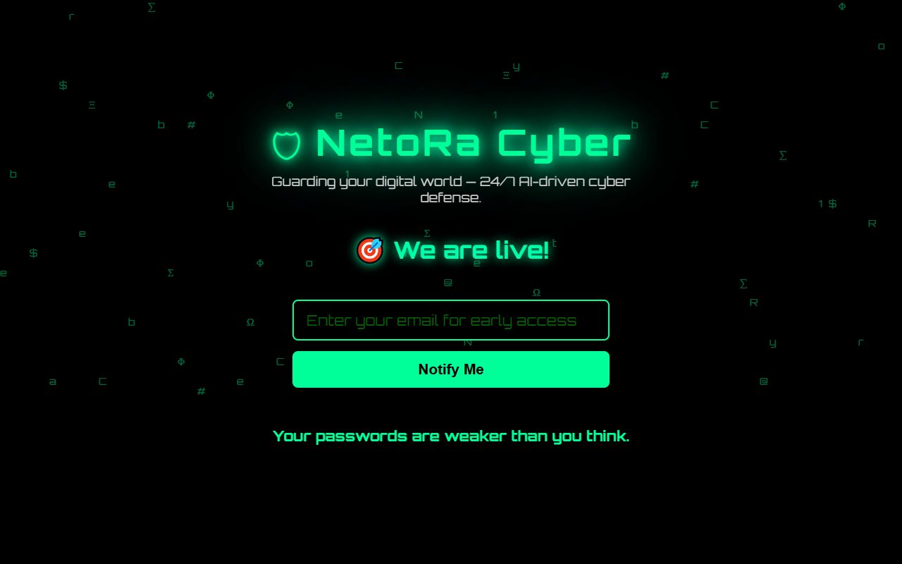 NetoRa Cyber website screenshot